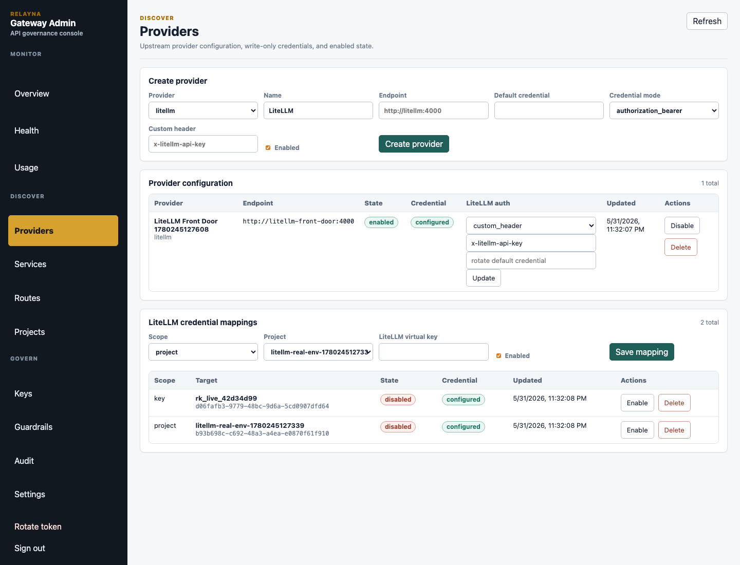 LiteLLM project mapping control